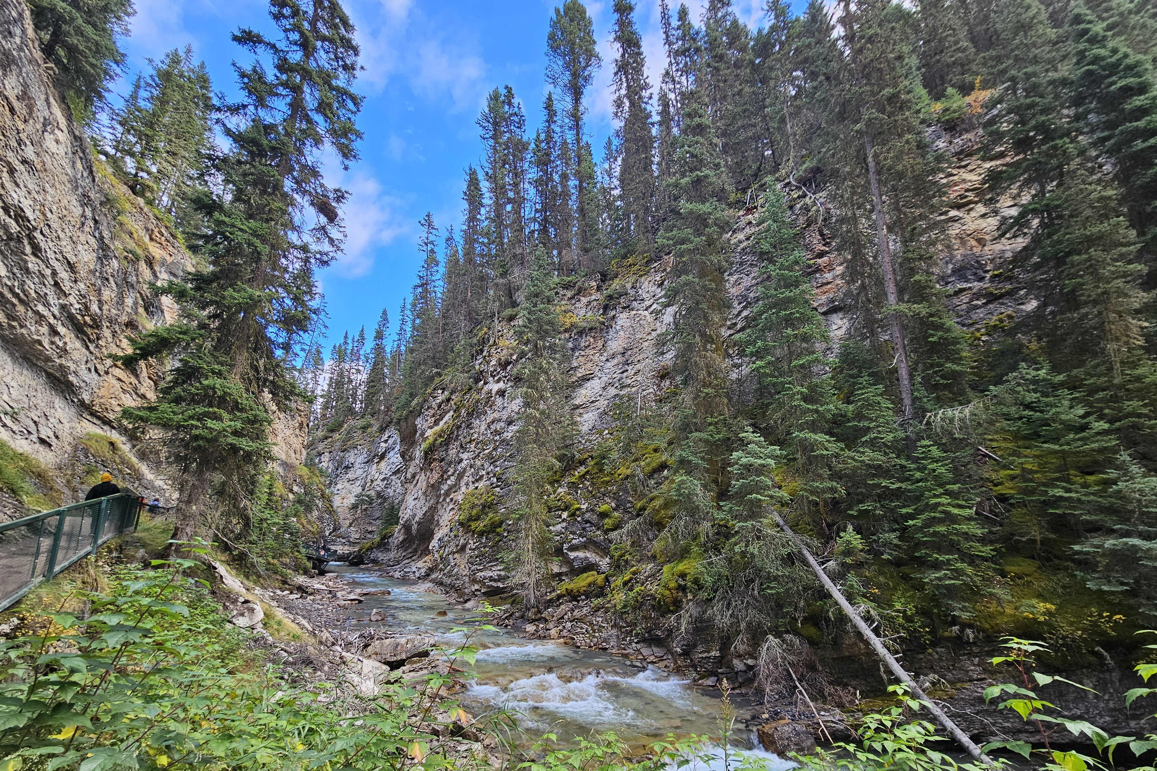 NP Banff